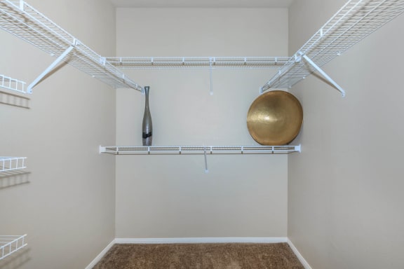 Large Closet at The Preserve by Picerne, Nevada, 89086
