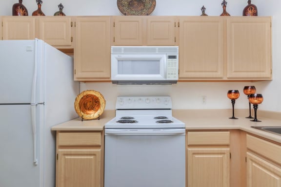 Kitchen Appliances at The Summit by Picerne, Henderson, NV, 89052