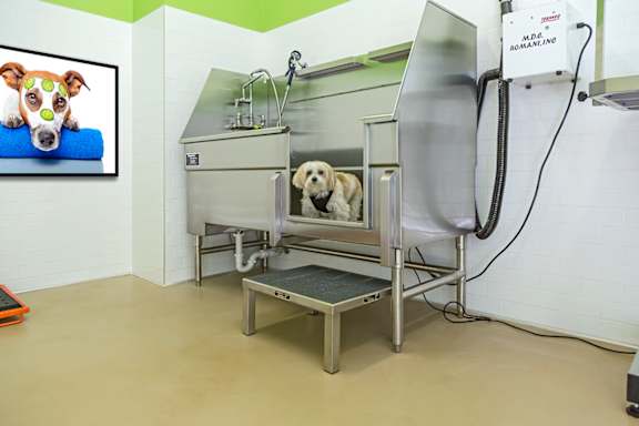 a dog is in a vet clinic with a dog in a scanner t The View at Horizon Ridge, Nevada, 89012