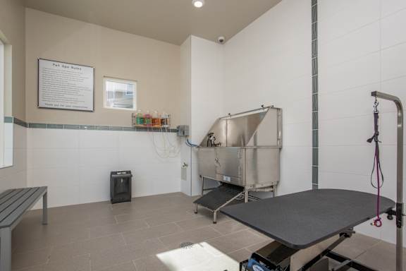 Pet Wash at The Passage by Picerne, Nevada