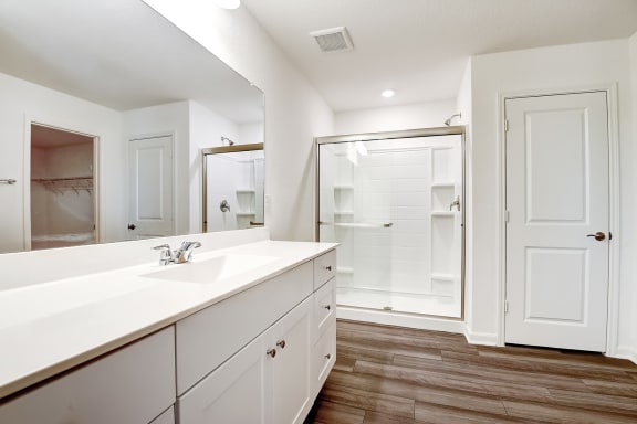 a bathroom with a sink and a shower