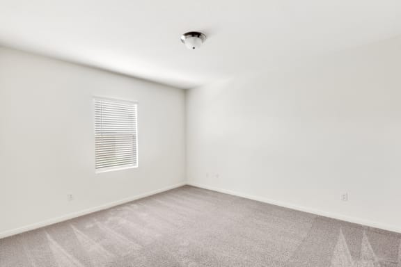a bedroom with white walls and carpet