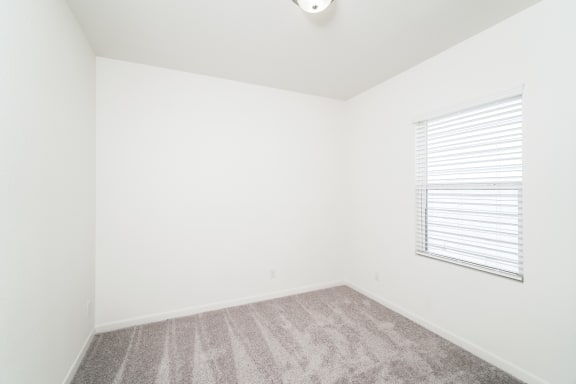 a bedroom with natural light from a window and carpet floor