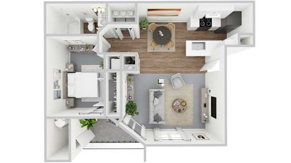 1x1 floor plan at Reflections in Gainesville, FL