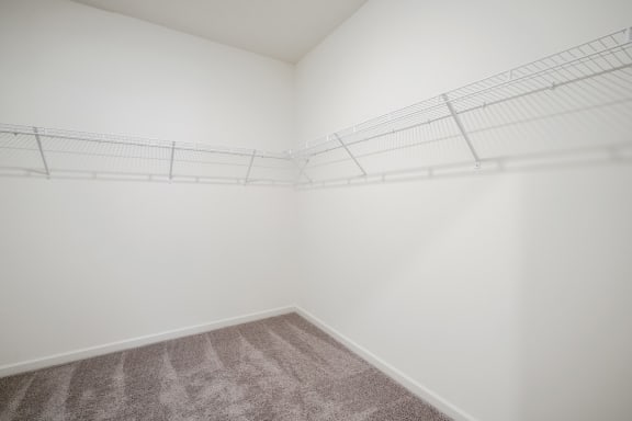 closet with white walls and carpet