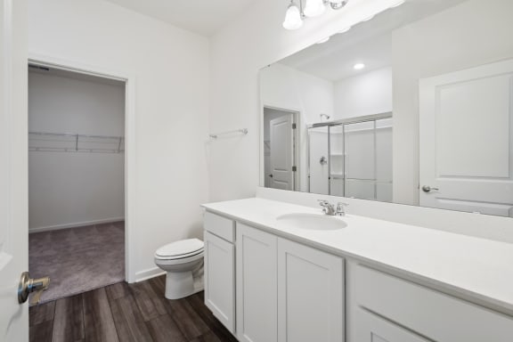 a bathroom with a sink and a toilet and a mirror