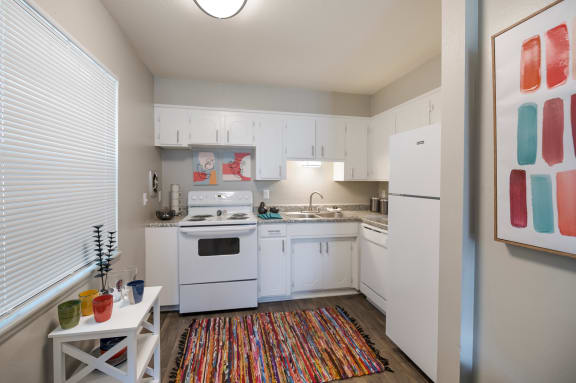 Model Studio Kitchen 1 at Orleans Square in Shreveport, LA