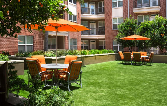 Tranquil Courtyards with Orange Trees