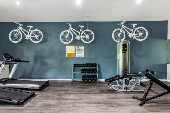 Fitness Center 2 | Westdale Creek | Austin TX