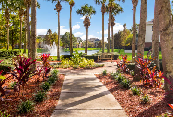 Beautiful courtyard area with benches surrounded by palm trees and view of the pond in Wynnfield Lakes apartments in Jacksonville, FL