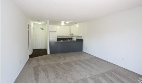 this is a photo of the living room of a 560 square foot, 1 bedroom apartment at