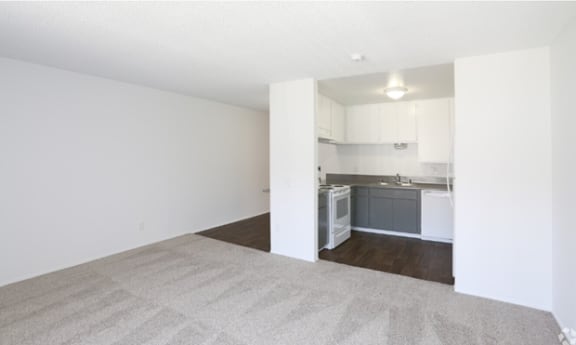 2383 / 2393 Studio