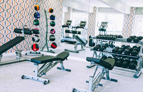 Fitness center with free weights and workout benches at Skyline at Barton Creek Apartments, Texas, 78758