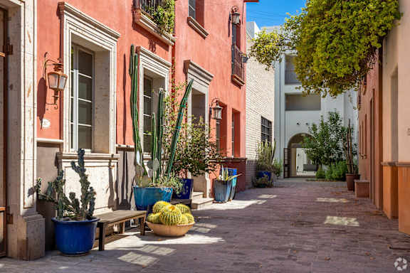A cactus garden in a courtyard surrounded by buildings.