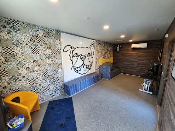 A room with a dog mural on the wall and a blue rug on the floor.