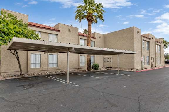 A building with a palm tree in front of it.