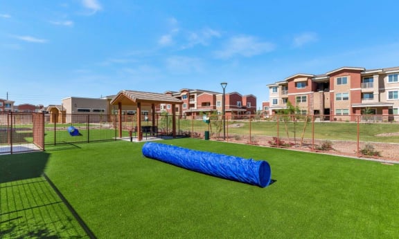 Pet Park at Zaterra Luxury Apartments, Chandler, AZ