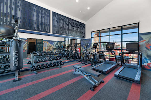 a gym with weights and cardio equipment and windows