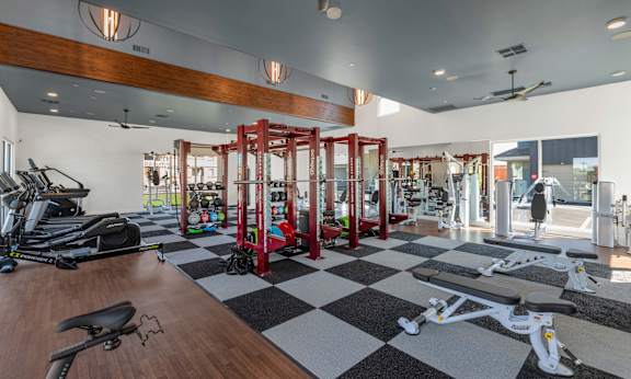 A gym with a variety of equipment including treadmills, stationary bikes, and weight machines.