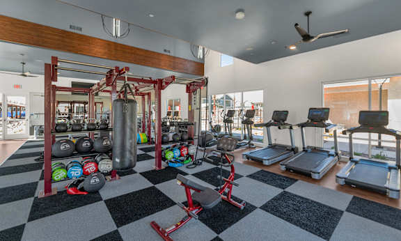 A gym with a variety of equipment including treadmills, weights, and a squat rack.