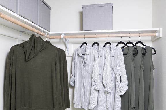 Closet in Apartment near Beaverton