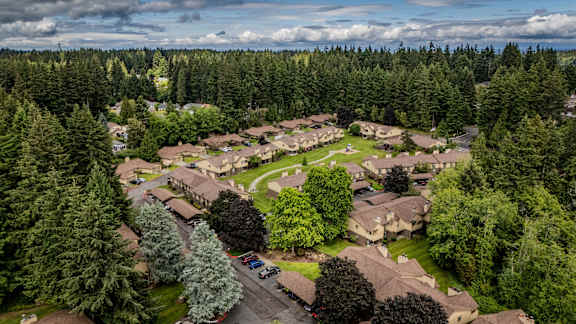 Beautiful Forest Setting in the Pacific Northwest at Apartment Near West Seattle