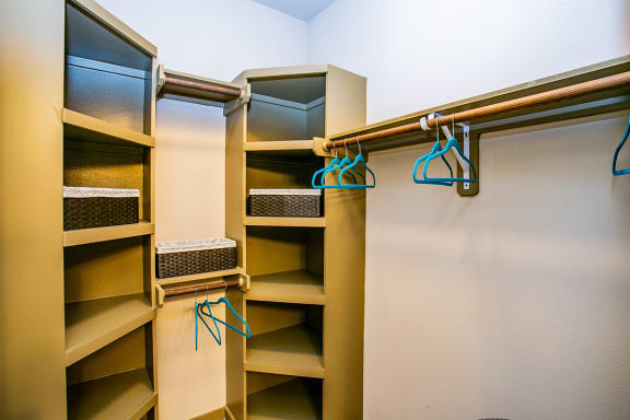 Large Apartment Closet with Shelves