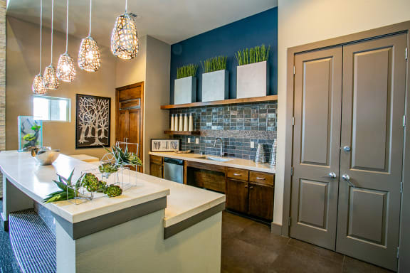 Clubhouse Kitchen at Downtown Houston Apartments for Rent