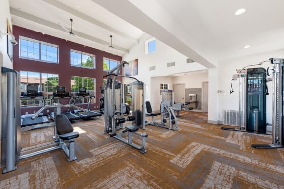 a gym with cardio machines and weights in a building with windows
