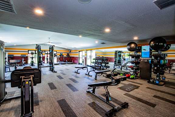Modern Gym with Free Weights in Port Orchard Apartments