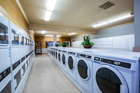 A laundromat with rows of washers and dryers.
