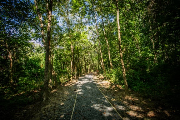 Serene Nature Walking Trails at Nice Apartments in Atlanta GA
