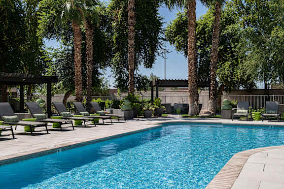 A pool surrounded by palm trees and lounge chairs.