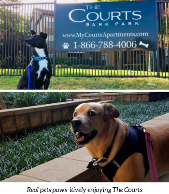 two pictures of a dog sitting in front of a courts bark park sign