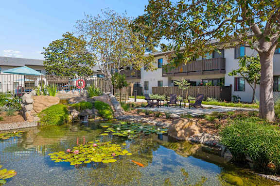 A pond with lily pads and a fence in the background.