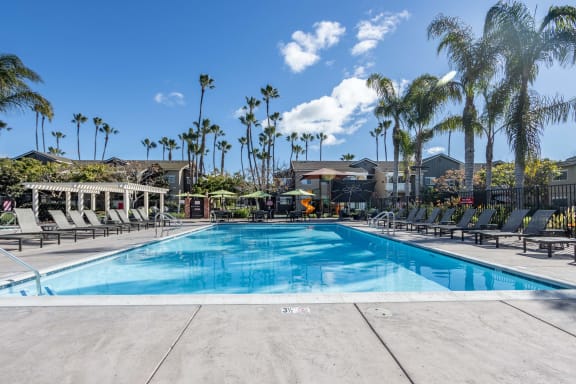 the swimming pool at the resort at longboat key club