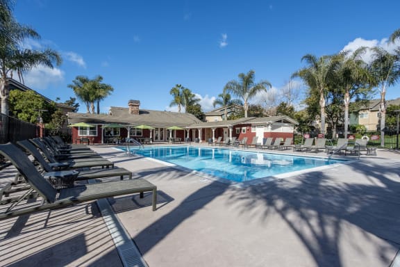 the swimming pool at our apartments in palm springs