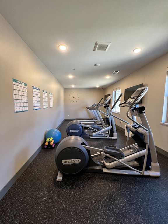 A gym with a row of treadmills and a wall of windows.