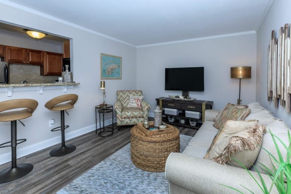 a living room with a couch and a tv at Sawgrass Apartments, Charleston, South Carolina