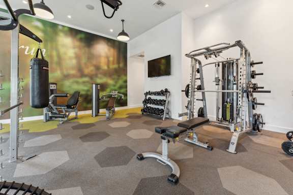 Fitness Center at Beckett Farms Apartments, PRG Real Estate Management, Fort Mill, SC