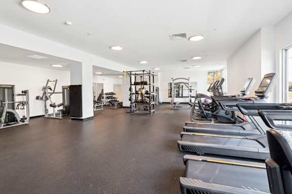 A spacious gym with treadmills, weights, and exercise equipment.