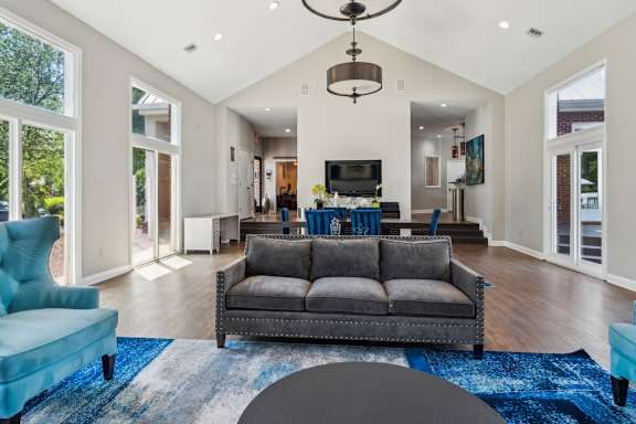 A living room with a grey couch and a blue rug at The Timbers Apartments, Richmond, Virginia
