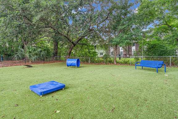 A park with a blue bench and a blue mattress.