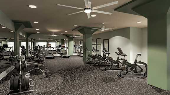 A gym with a variety of equipment including treadmills, weights, and exercise bikes at The Carousel, Richmond, VA 23220