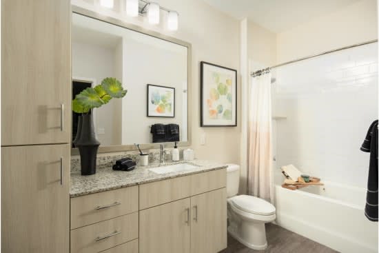 Model full bathroom with under-the-sink and side storage cabinetry, commode, and bathtub