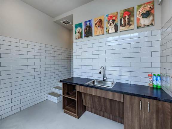 Pet washing station at Berewick Pointe Apartments in Charlotte, NC