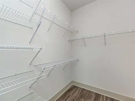 Walk-In Closets With Built-In Shelving at Berewick Pointe, Charlotte, North Carolina