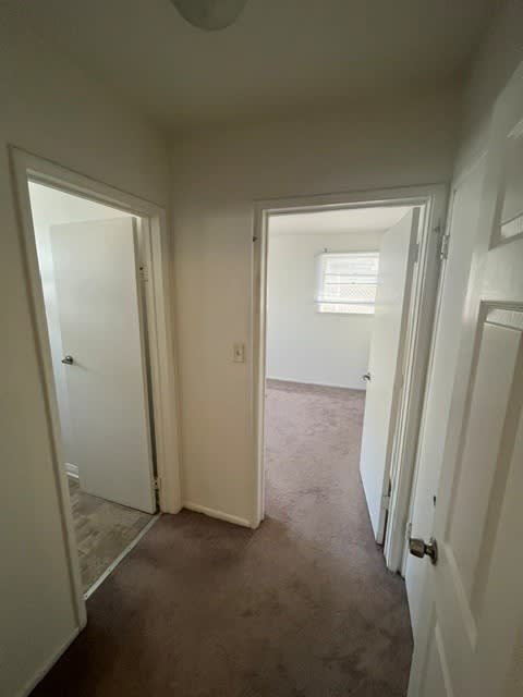 A hallway with white doors and carpeted floor.
