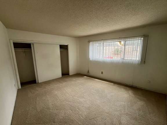 A room with carpeted floor, a window with blinds, and a door leading to another room.