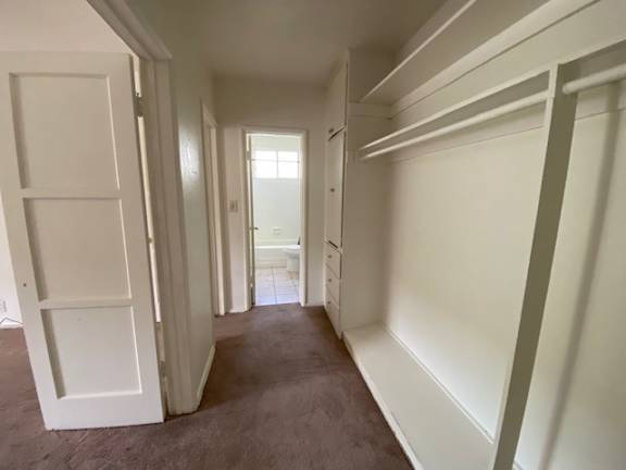 A hallway with white walls and a brown carpet.